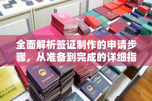 醴陵全面解析签证制作的申请步骤，从准备到完成的详细指南