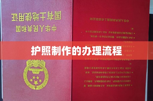 忻府护照制作的办理流程